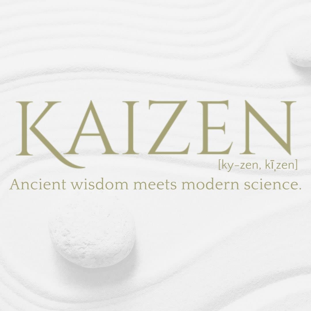 Kaizen logo